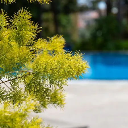 Appartement Deluxe Living By Lovelystay