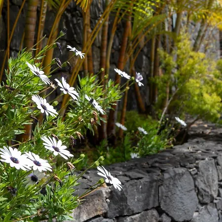 Deluxe Living By Lovelystay